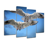 Bird Images Pictures Of Birds Wallpaper Mural Decoration Design Artwork Poster Canvas Photo Decor Prints Gifts Painting Photography Wall Art