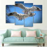 Bird Images Pictures Of Birds Wallpaper Mural Decoration Design Artwork Poster Canvas Photo Decor Prints Gifts Painting Photography Wall Art