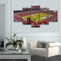 NFL Football Tampa Bay Buccaneers Raymond James Stadium 5 Piece Canvas Wall Art Painting Wallpaper Poster Picture Print Photo Decor