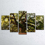 Angel Oak Tree Charleston South Carolina 5 Piece Canvas Wall Art Painting Wallpaper Poster Picture Print Photo Decor