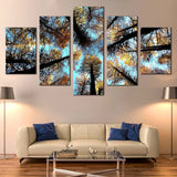 Trees Forest Sky Canopy In Autumn Nature 5 Piece Canvas Wall Art Painting Wallpaper Poster Picture Print Photo Decor