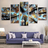 Trees Forest Sky Canopy In Autumn Nature 5 Piece Canvas Wall Art Painting Wallpaper Poster Picture Print Photo Decor
