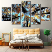 Trees Forest Sky Canopy In Autumn Nature 5 Piece Canvas Wall Art Painting Wallpaper Poster Picture Print Photo Decor