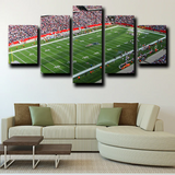 New England Patriots Stadium Rugby Field Green 5 Piece Canvas Wall Art Painting Wallpaper Poster Picture Print Photo Decor