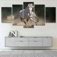 White Andalusian Horse Animal Running In Dust 5 Piece Canvas Wall Art Painting Wallpaper Poster Picture Print Photo Decor