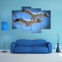 Bird Images Pictures Of Birds Wallpaper Mural Decoration Design Artwork Poster Canvas Photo Decor Prints Gifts Painting Photography Wall Art