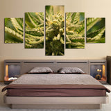 Marihuana Cannabis 420 5 piezas lienzo arte de la pared imágenes imágenes papel pintado mural decoración diseño obras de arte cartel decoración impresiones pinturas foto 