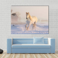 Horse Images Pictures Of Horses For Walls Wallpaper Paintings Decor Artwork Photos Portraits Prints Canvas Wall Art Gifts For Girls & Women