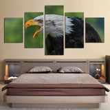 5 piezas águila lienzo arte de la pared imagen imagen de águilas papel pintado mural decoración diseño obra de arte cartel decoración impresión regalo pintura fotografía 
