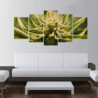 Marijuana Cannabis 420 5 Piece Canvas Wall Art Images Pictures Wallpaper Mural Decoration Design Artwork Poster Decor Prints Paintings Photo