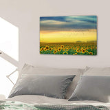 Sunset Sunrise Sunflower Field Birds 1, 2, 3, 4 & 5 Piece Multi Panel Nature Canvas Wall Art Decor Posters Prints Artwork Wallpaper Picture