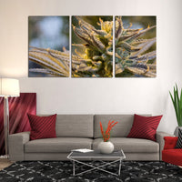 Marihuana Ganja Weed Cannabis 420 1, 2, 3, 4 y 5 piezas Lienzo Decoración de pared Pósteres Fotos Impresiones Obras de arte Papel pintado Imágenes Panel múltiple 