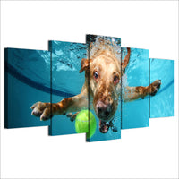 Funny Cute Dog Underwater Framed 5 Piece Canvas Animal Wall Art Image Picture Wallpaper Mural Decoration Design Artwork Poster Decor Print Painting Photography