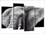 Elephant Ears & Tusks Framed 4 Piece Animal Canvas Wall Art Painting Wallpaper Decor Poster Picture Print