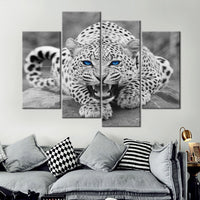 Black & White Blue Eyed Leopard Cat Framed 4 Piece Animal Canvas Wall Art Painting Wallpaper Decor Poster Picture Print