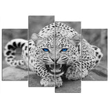 Black & White Blue Eyed Leopard Cat Framed 4 Piece Animal Canvas Wall Art Painting Wallpaper Decor Poster Picture Print