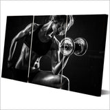 Fitness Exercise Working Out Gym Body Building Weight Training Sports 3 Piece Canvas Wall Art Painting Wallpaper Poster Picture Print Photo Decor