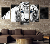 White Tiger Animal Picture 5 Piece Framed Canvas Wall Art Print