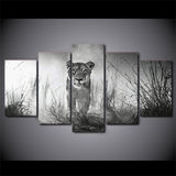 Lioness Lion Animal Framed 5 Piece Canvas Wall Art Image Picture Wallpaper Mural Decoration Design Artwork Poster Decor Print Painting Photography
