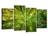 Forest Trees Framed 4 Piece Canvas Wall Art Painting Wallpaper Poster Picture Print Photo Decor